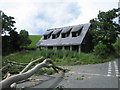 Unfinished Dwelling with Fallen Tree