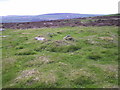 SN0236 : Prehistoric hut circles on the flank of Mynydd Melyn by Natasha Ceridwen de Chroustchoff