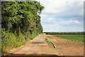 Farm track near Duxford Grange