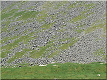 NN9475 : Scree and boulders by James Allan