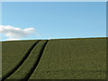 Farmland, Ladyston