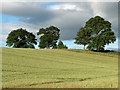 Farmland, Milton of Machany