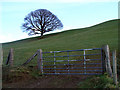 SN9989 : Farm Gate, Near Red House, Trefeglwys by John Lucas