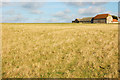 Farm buildings, Alfriston Road, just North of Seaford