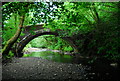 Stone bridge over the River Dulais at Crynant