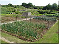 Manchester Drive Allotment Society site