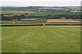 The Western Slope of the St Austell Granite