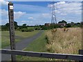 Footpath near River Penk