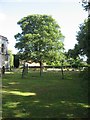 The Churchyard of Escrick Parish Church