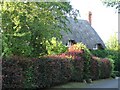 Thatched Cottage in Great Hinton