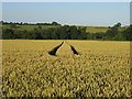 View from the footpath from Shotteswell