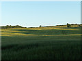 Farmland, Mill of Drummond