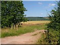 Bridleway to Bruntcliffe Bank