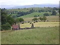 Farmland near Ffridd-y-foel