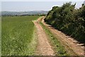 Footpath on the Field Edge