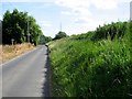 The Lane South of Skelton