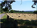 Harvest in the Weald, by Manor of Dean.