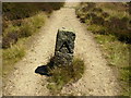 NZ5101 : A boundary stone on the Cleveland Way by Phil Catterall