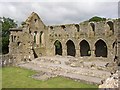 S5740 : The nave, Jerpoint Abbey, Thomastown, Kilkenny by Humphrey Bolton