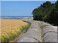 Farmland at SE895700