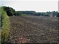 Ploughed and harrowed field