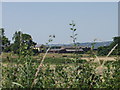 Bryn-y-plentyn from behind the hedge