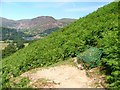 Seat, Boredale Hause Path