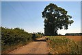 Byway to Culfordheath