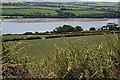 Downhill to the Camel Estuary