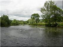 S6337 : The River Nore, downstream of Inistioge , Co. Kilkenny by Humphrey Bolton