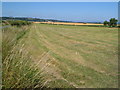 SJ3813 : Field beside B4393 by Derek Harper