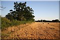 Trent Valley Way