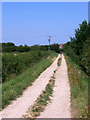 Track off West Marsh Lane