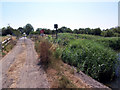 West Marsh Lane Crossing