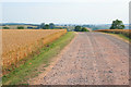 Farm road to Seldom Seen Farm