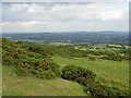 Clee Hill Common