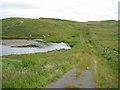 Track at the south end of Loch Shobhail