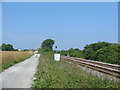 Track adjacent to the Scarborough to York railway line