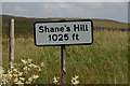 J3298 : Shane's Hill, Larne by Albert Bridge