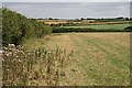 Mixed Agricultural Land