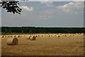 Harvesttime at West Stow