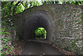 Incline Bridge