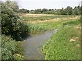 Kingsthorpe Nature Reserve