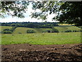 View across Penny Rowden