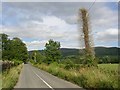 S2330 : Lane to Killusty with bristly telephone poles, Co. Tipperary by Humphrey Bolton