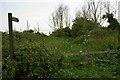 Footpath to Rookery Farm