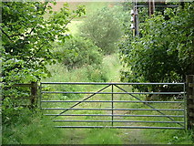 NH5762 : Track to sheepfold above Lemlair farm by Brian MacLennan