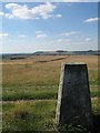 SU0360 : Etchilhampton Hill trig point with view to Roundway Hill by Doug Lee