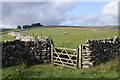 NY6910 : Farmland near Whygill by Peter Standing