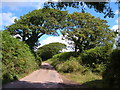 Lane between Blackdown Cross and Middle Washbourne